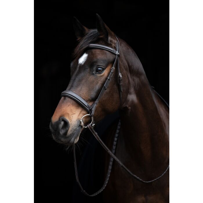 HKM Bridle - Hunter